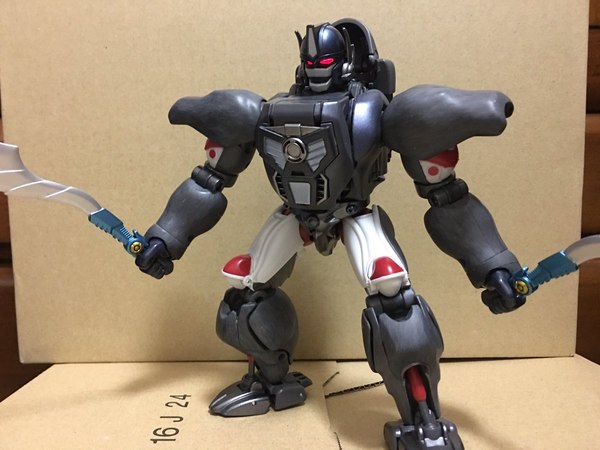 MP 32 Masterpiece Optimus Primal   In Hand Photos Surface On Twitter  (25 of 81)